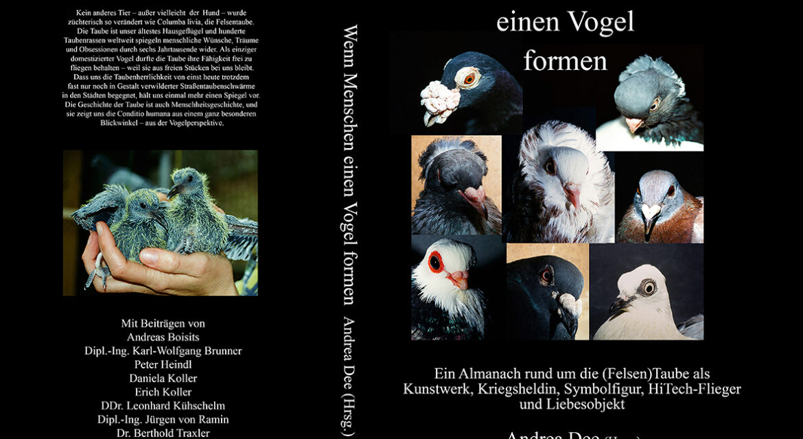 Taubenbuch